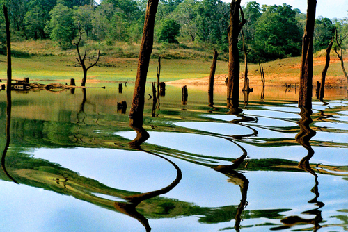 thekkady-in-kerala-south-india-travel-agent-pondicherry-bus-hire-family-tour-college-tours-packages